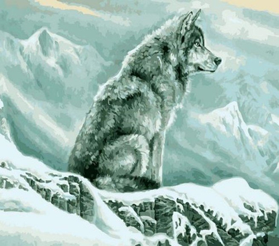 Set pikture me numra Frame Wolf In The Mountains, 40x50 cm, shumëngjyrësh