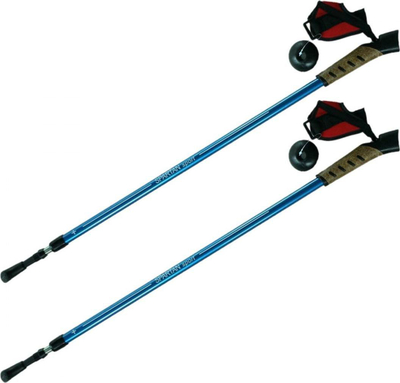 Shkopinj Nordic Walking Spartan, 2 pjesë, 84-130 cm, blu