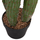Bimë dekorative HomeMarkt Cactus, sintetike, 115cm, vazo e zezë