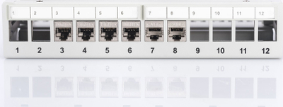 Patch panel desktop Digitus, 12 porta, RJ45, i zi