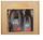 Set dhuratë për meshkuj LaQ Fragrance of Sex and Business, xhel dushi 500ml, balm pas rrojes 150ml, ngjyrë e zezë matte