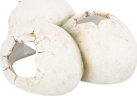 Strehimore terrariumi Trixie Reptile Cave Eggs, rrëshirë poliestre, 15 × 6 × 12 cm, e bardhë