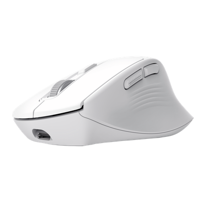 Maus Trust Comfortable Multi-Wireless, i bardhë