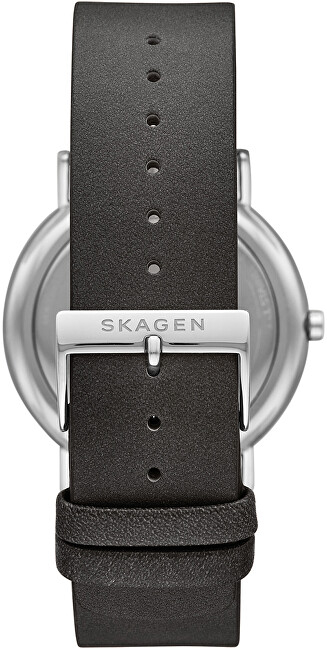 Orë dore Skagen Signatur SKW6654 hSK207