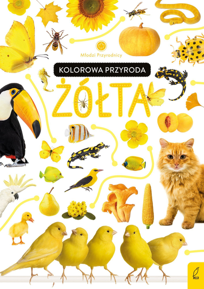 Libër për kalamaj Wilga Young Naturalists Colorful Nature Yellow, edukativ, me figura, i verdhë