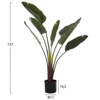 Bimë sintetike Strelitziaceae në vazo (HM7981)