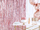 Perde dekorative PartyDeco Curtain Party Pink Gold Backdrop, 90x250cm, rozë gold