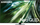TV Samsung QE75QN92D, 75", Neo QLED 4K, i zi