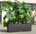 Mbeshtetëse kacavjerrëse Lechuza TRIO Trellis, 170cm, 113cm, e zezë