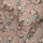 Set mbulesë krevati Domoletti Sateen D-1029, 140x200 cm, stil persian venecian, shumengjyrësh