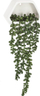 Bimë artificiale Atmosphera Trailing Ragwort, varëse, me vazo qeramike të bardhë, jeshile