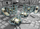 Set terreni Battle Systems Sci-fi Medical Research Lab, karton i printum, për miniatura 28–35mm, shumëngjyrësh