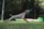 Диск за играње за кучиња Jetwag Dog Disc, 200mm, гума, повеќебоен