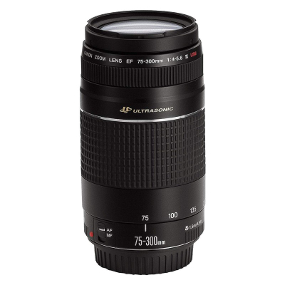 Canon EOS 4000D 18-55 + 75-300