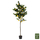 Bimë sintetike Pema Limoni Φ15x12x170cm (HM4020)
