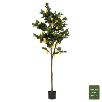 Bimë sintetike Pema Limoni Φ15x12x170cm (HM4020)