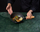 Tigan wok Rikito Watanabe, 20 cm, me kapak, i zi