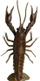 Karrem Karavidhe 3D 12.5cm 15g, kafe, 1 copë. (47105)