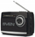 Altoparlant portativ Sven SRP-155, 3W, Bluetooth FM AM SW, i zi