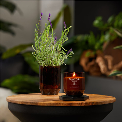 Qiri aromatik Debenhams Lavender &amp; Cypress Renew Medium, dyll soje dhe kokosi, aromë livandë dhe kedër