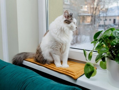 Tapet për mace NIMI Velvet Series Warm Window Sill, 25x70cm, kadife, mustard