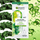 Maskë Garnier Skin Naturals Niacinamide & Cabbage 15 g