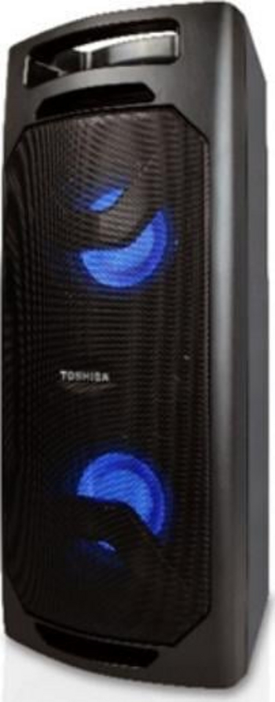 Altoparlant Toshiba TY-ASC51, i zi