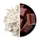 Protein After Training 540g Qokollate
