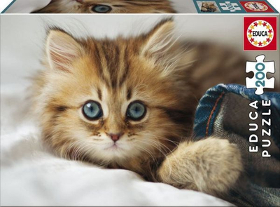 Puzzle Educa Kitten, 200 pjesë, shumëngjyrësh