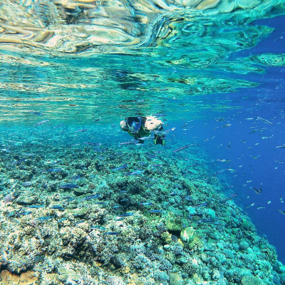 Maskë snorkelingu Best Sporting Snorkel Mask, për fytyrë komplet, për të rritur, blu me të zezë