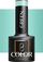 Llak thonjsh hibrid Activeshop OCHO NAILS 701, 5 g, jeshile