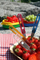 Pirun udhëtimi Swiss Advance Hippus F Fork, i palosshëm, çelik inox, transparent