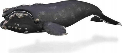 Figurë lodër CollectA Right Whale, balenë lodër shumë reale, plastike