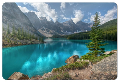 Подлога за глушец Esperanza Photo Mix EA133, повеќебојна