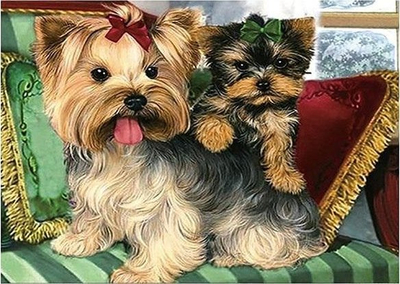 Set kreativ Diamond Mosaic Yorkies, sticker diamant 5D, 30x40 cm, shumëngjyrësh