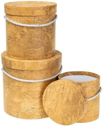 Set kuti lulesh druri Rozette, 3 copë, dekorative, të verdha