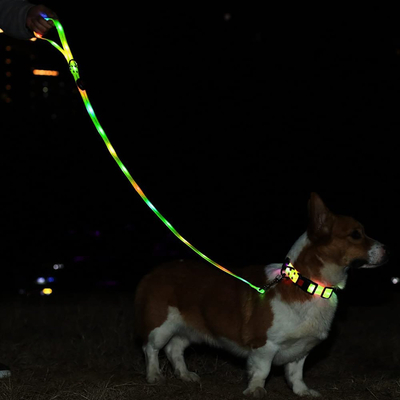 Leash për qen SIGNAL LEASH, me LED shumëngjyrësh, i rikarikueshëm, i kuq