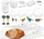 Set lodër shkencore 4M Dino Crystal Terrarium 403926, rrit kristale, me dinosaurë, shumëngjyrësh