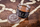 Помада за коса 18.21 Man Made Pomade, 56 g, за мажи