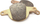Set frenash Clarks MAGURA 2001-2002