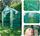 Serë Neo Greenhouse 15-911, 143 x 143 x 195 cm, me 4 rafte