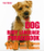 Dog Body Language - Trevor Warner