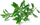 Билна капсула Click and Grow Mountain Savory, Smart Garden, пакување 3 парчиња, зелена