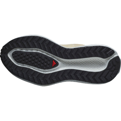 Патики за трчање Salomon Aero Glide 3 GRVL, за жени, беж