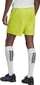 Shorce futbolli për burra adidas Entrada 22 HC5061, AeroReady, poliester i riciklum, lime