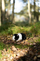 Lodër pelushi World of Nature Guinea Pig, kavie bardh e zi