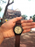 Orë dore Timex Expedition Scout T49963