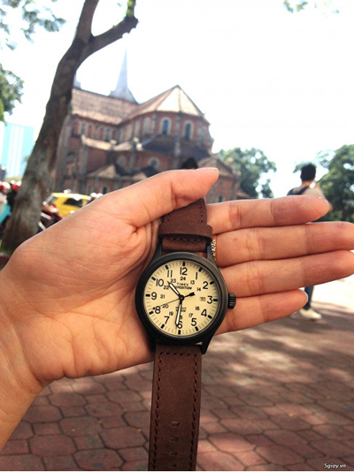 Orë dore Timex Expedition Scout T49963