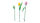 Set LEGO Tulip Bouquet 11501, buqetë dekorative, shumëngjyrëshe
