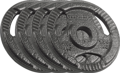 Disqe peshe Rebel Plate, set 4x1.25kg gjithsej 5kg, vrimë 31mm, gri